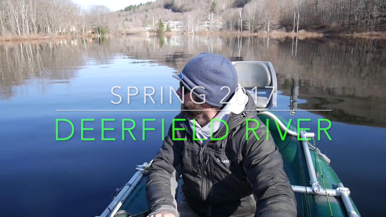 Stream life - Interview with Brian Lynch - Giant TROUT!