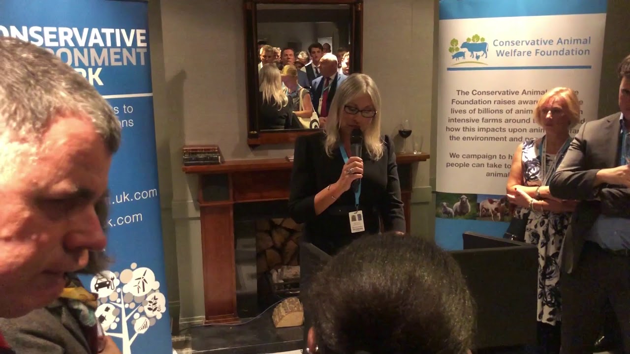 Lorraine  Platt speaks on Save the Asian Elephants 2018