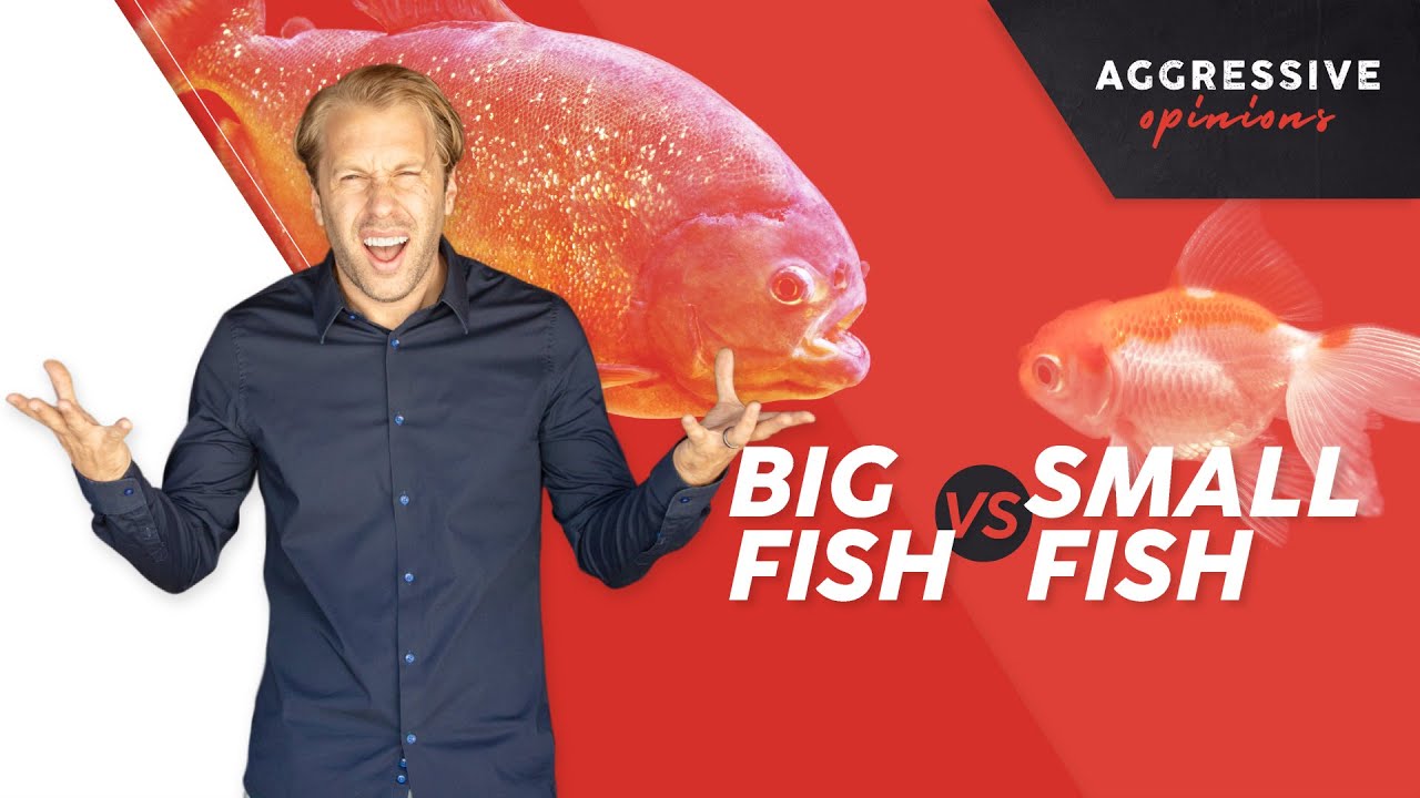 Big Fish, Small Pond vs. Small Fish, Big Pond?