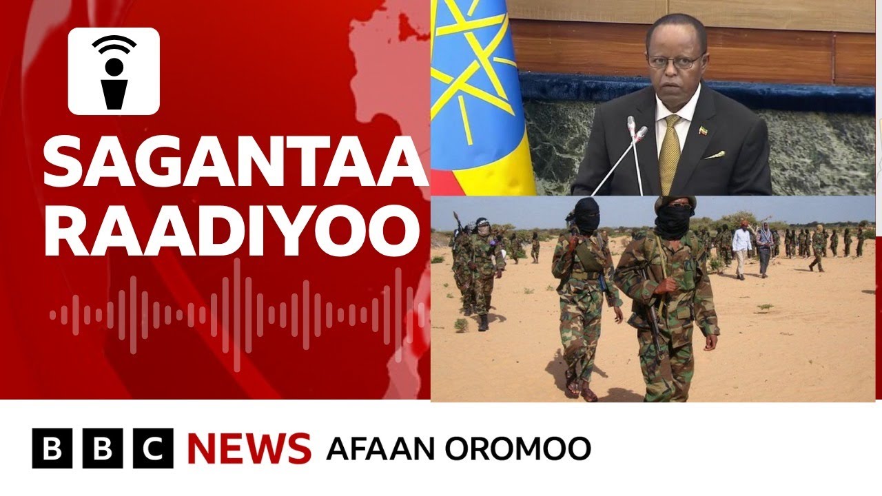 Waa'ee ulaa galaanaafi rakkoo nageenyaa Itoophiyaa paarlaamaan maal jedhe? |BBC News Afaan Oromoo