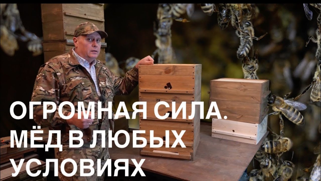 УНИКАЛЬНАЯ СИСТЕМА НАРАЩИВАНИЯ ОГРОМНОЙ МАССЫ ПЧЕЛЫ, ПОЛУЧЕНИЕ БОЛЬШОГО МЁДА В ЛЮБЫХ УСЛОВИЯХ