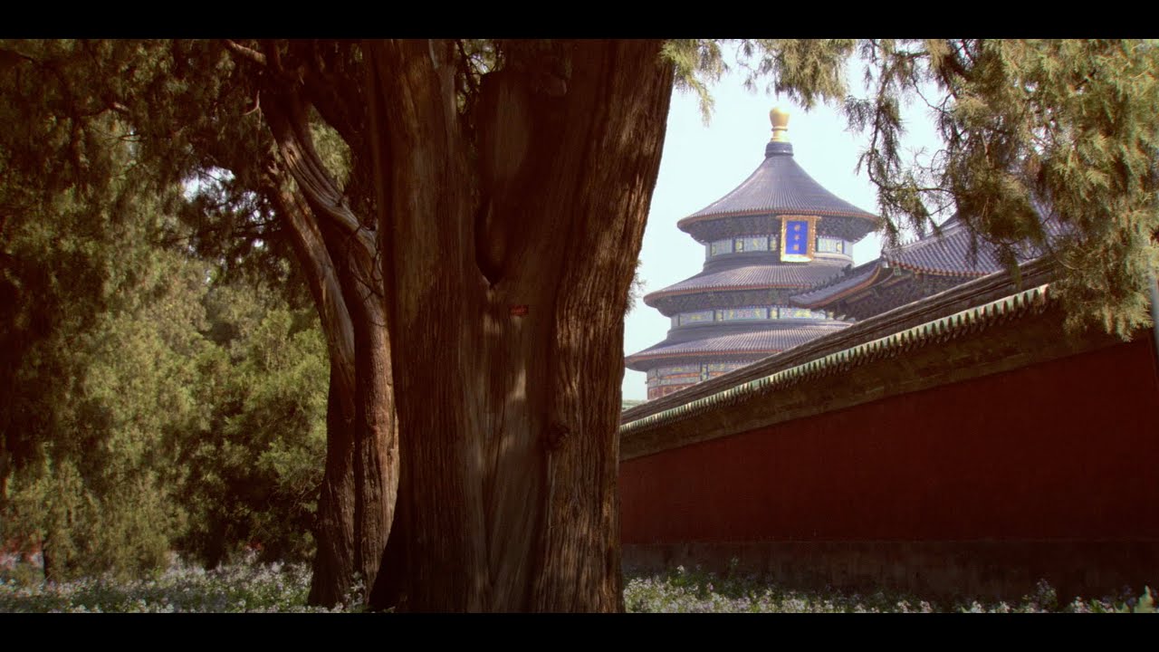 Assignment Asia: Green China, an insect and plant treasure hunt in Beijing