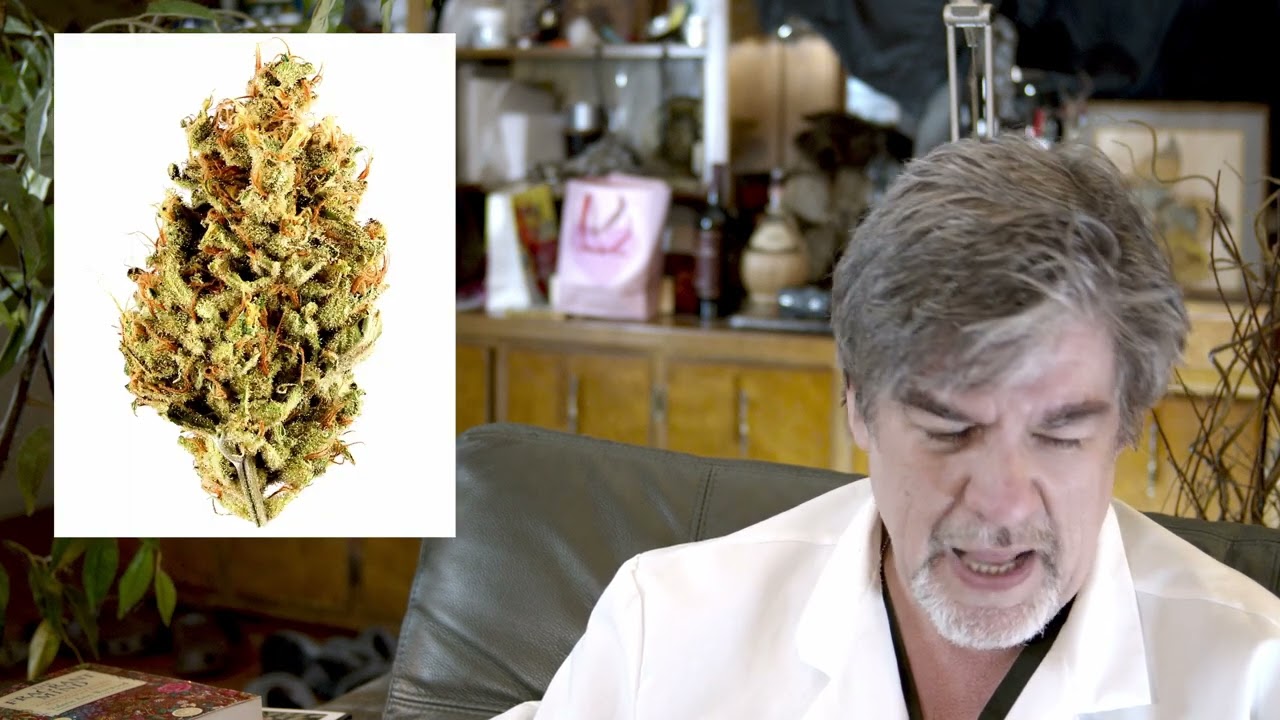 Gaming & Cannabis Pairing: Civilization 5