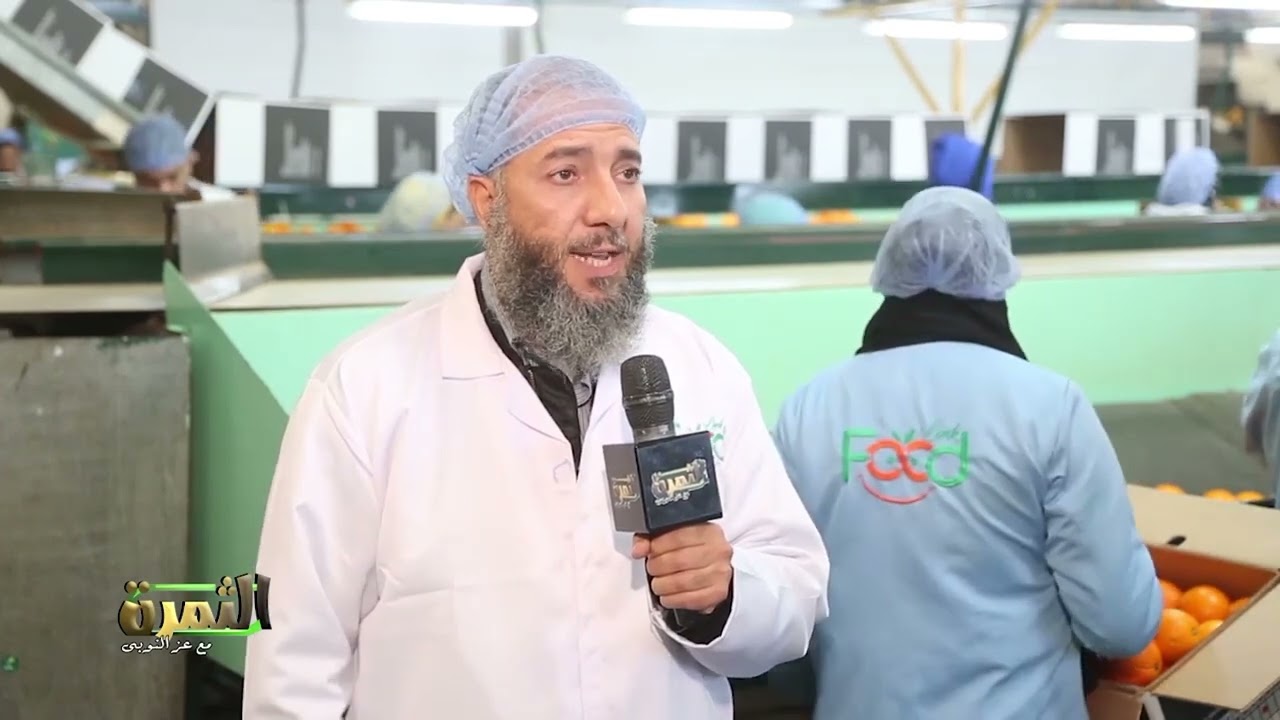مراحل تصدير البرتقال للأسواق العالمية  في اقوى محطات تصدير الخضار والفاكهة