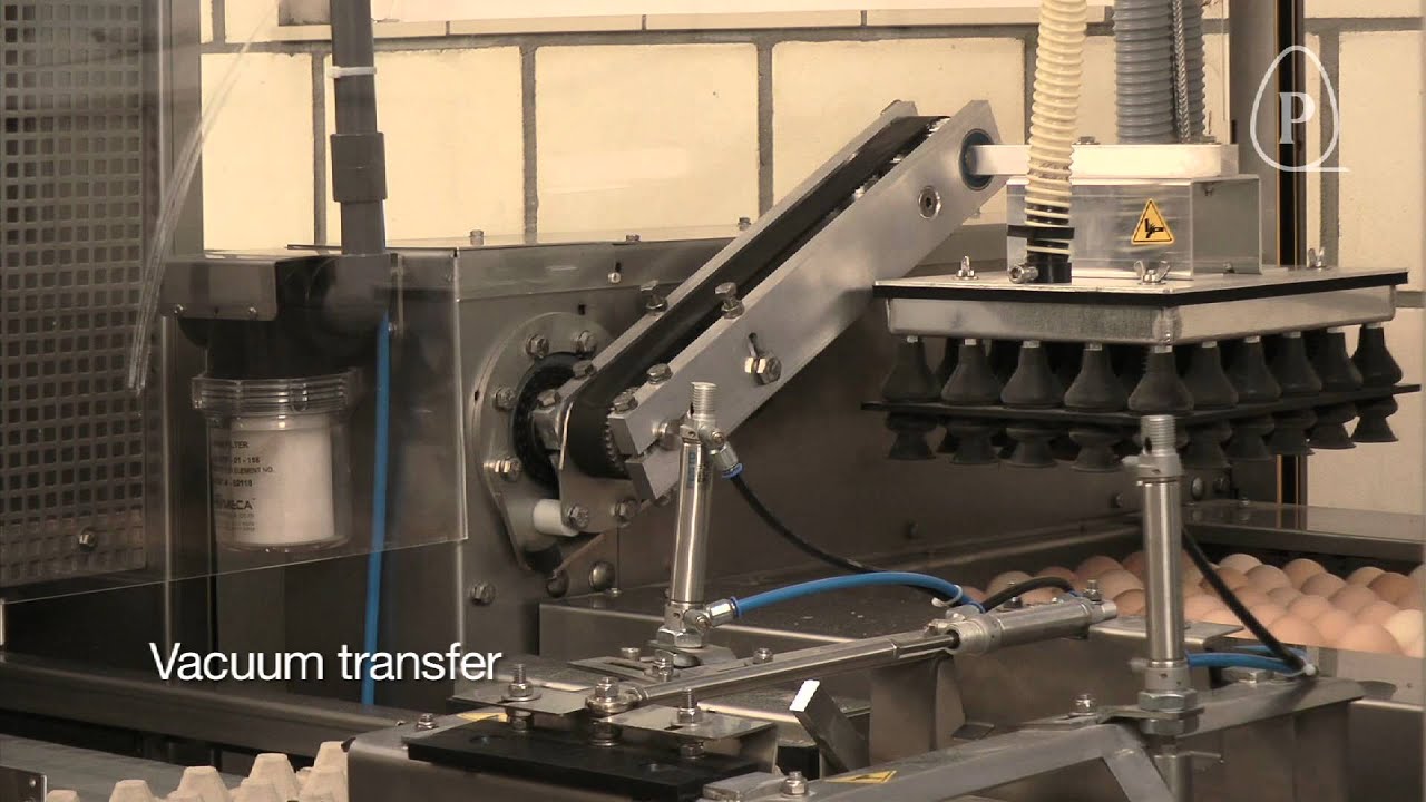 Vencomatic Group: Prinzen - Smartpack Farm packer
