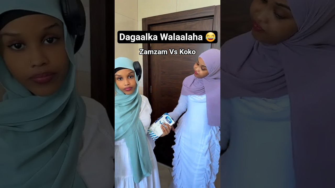 funny Koko Bulle vs Zamzam Bulle 😂 #duet #funny #team27 #shorts #shortsviral