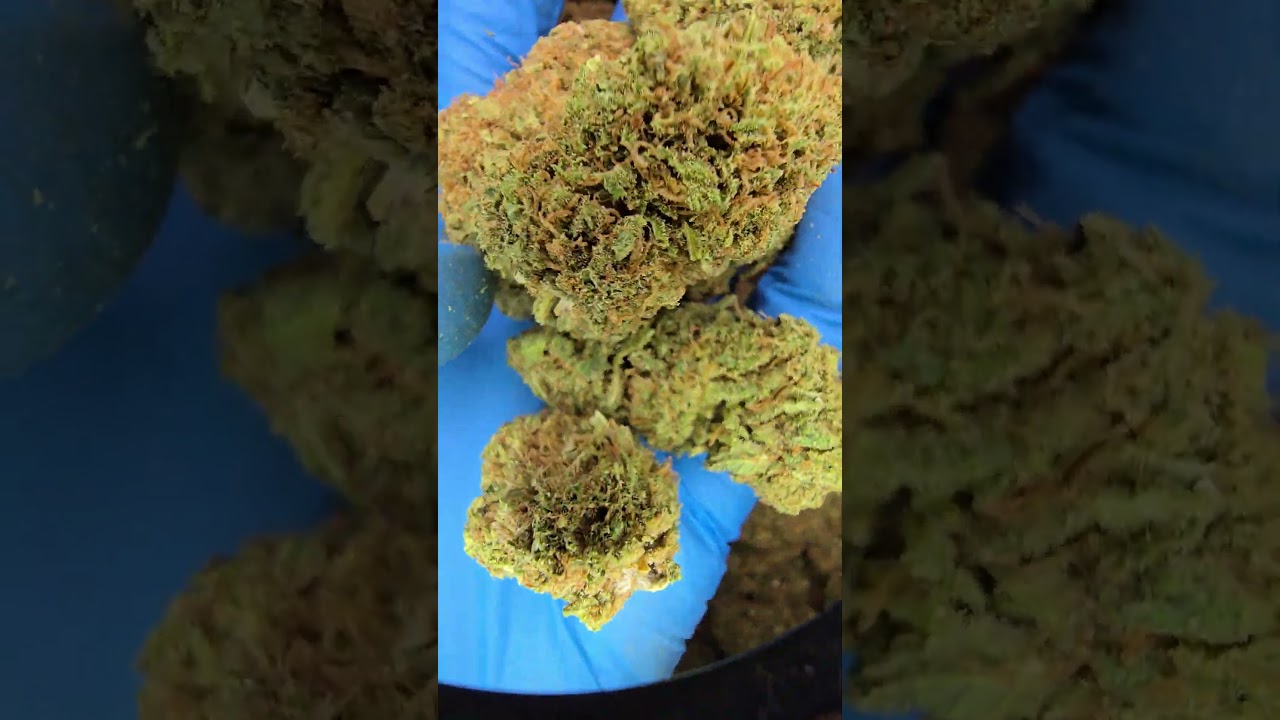 Lemon Meringue