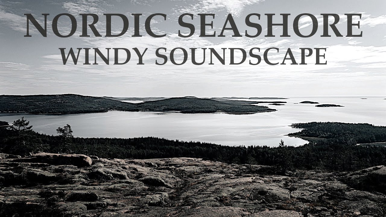 Ambient Drone Music - Feel The Calming and Relaxing Melancholy of a Nordic Seashore | Wind and Birds