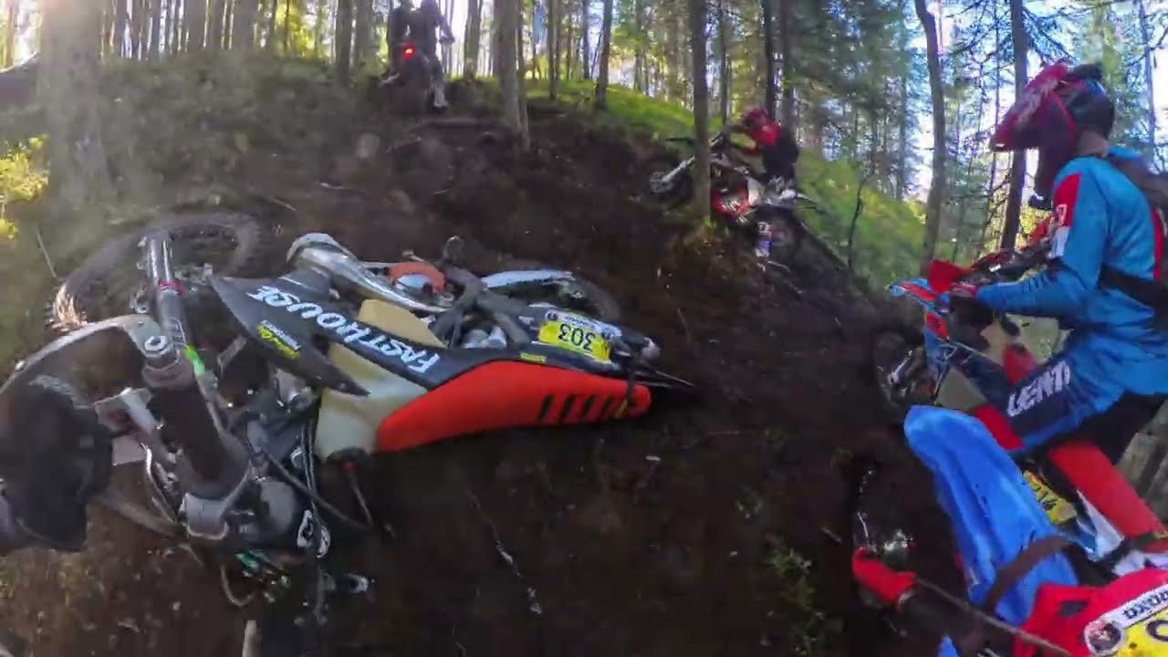 Шустрая белка 2025 2 этап День 1