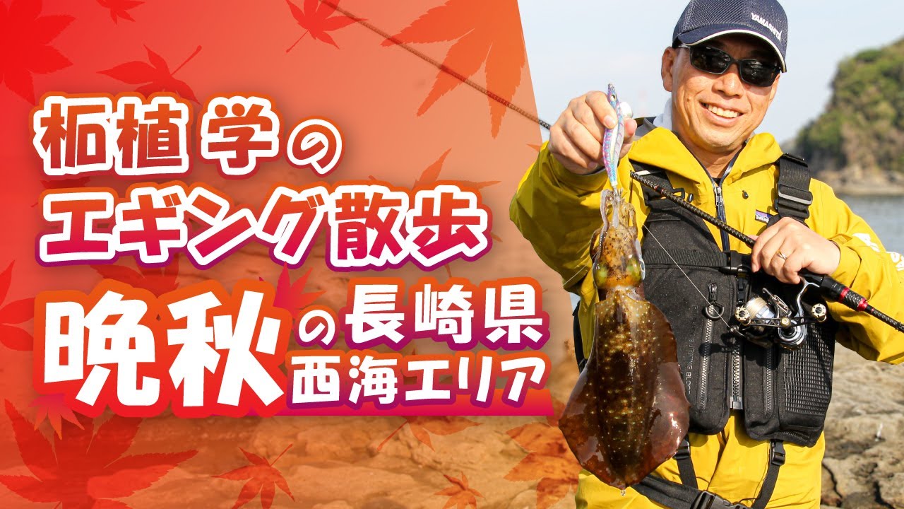 柘植学のエギング散歩 in 長崎県西海 晩秋アオリイカ攻略編