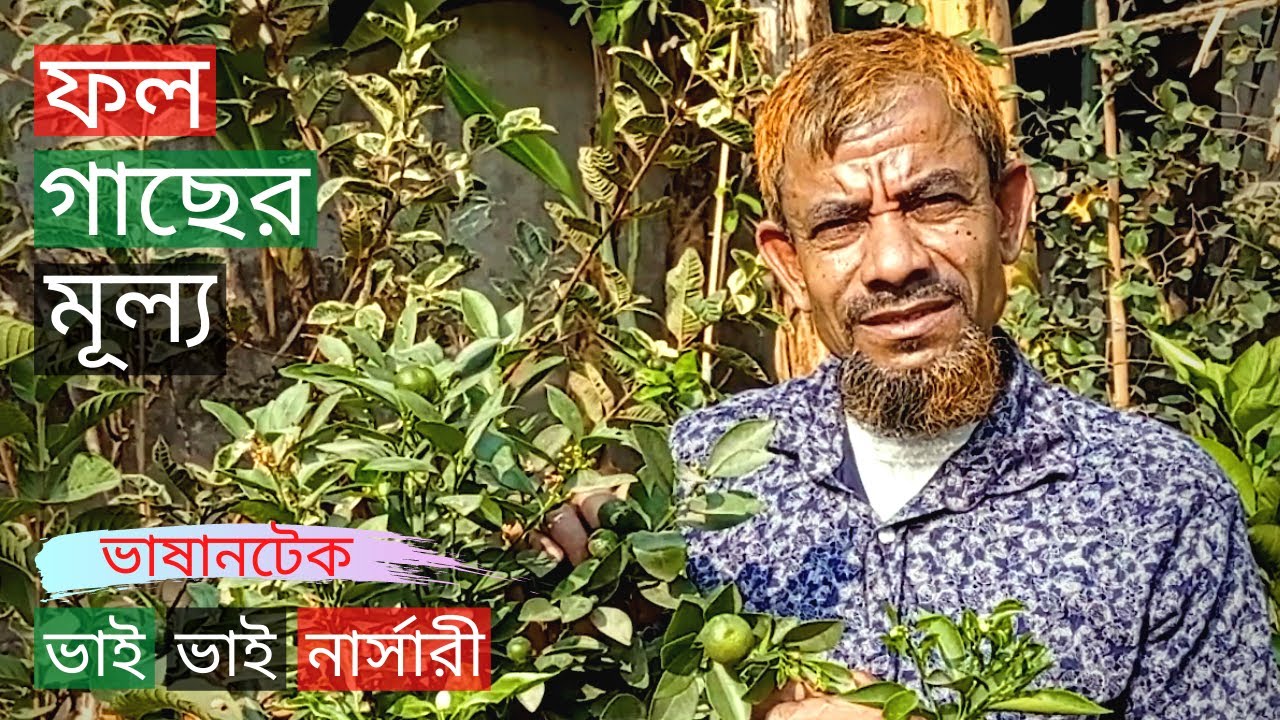 Fruit Tree Price In Bhai Bhai Nursery At Vashantek | ফল গাছের মূল্য | Gardening Bangladesh