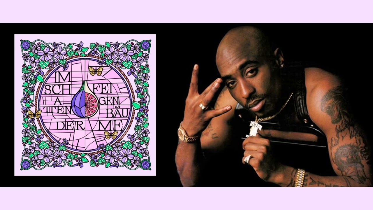 Shindy & 2Pac - IM SCHATTEN DER FEIGENB&Auml;UME [PAIN REMIX]