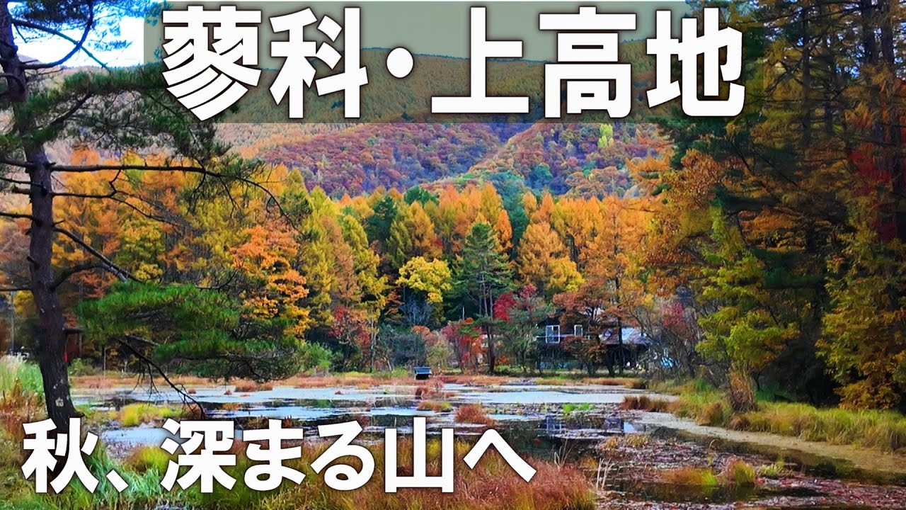 長野（蓼科・上高地）晩秋の紅葉ドライブ！森と湖、渓流で深まる秋を体感し、硫黄の香り漂う白濁した温泉に癒された大人旅。