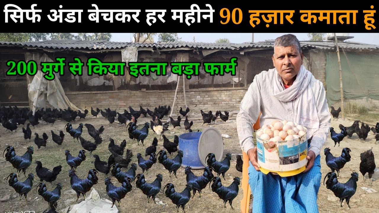 90 हजार हर महीने कमाते है कड़कनाथ मुर्गी का अंडा बेचकर 200 मुर्गी से किया इतना बड़ा फार्म #kadaknath