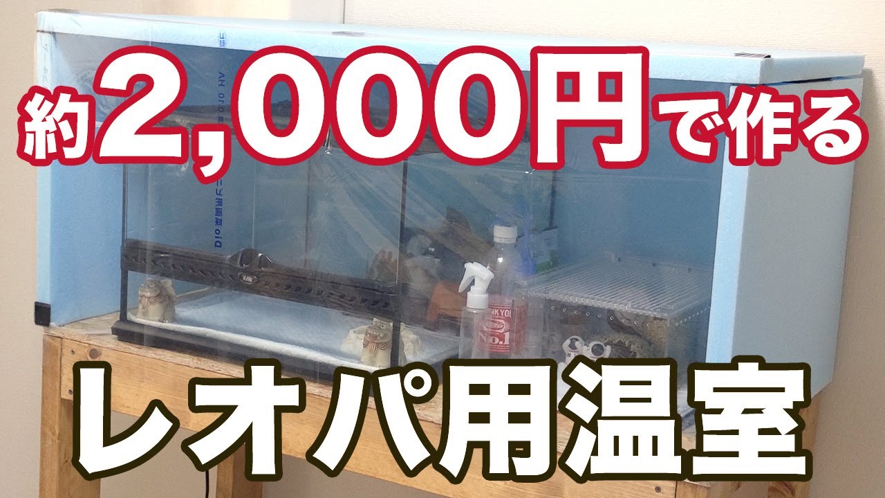 約2,000円でレオパ用温室を作ってみた！