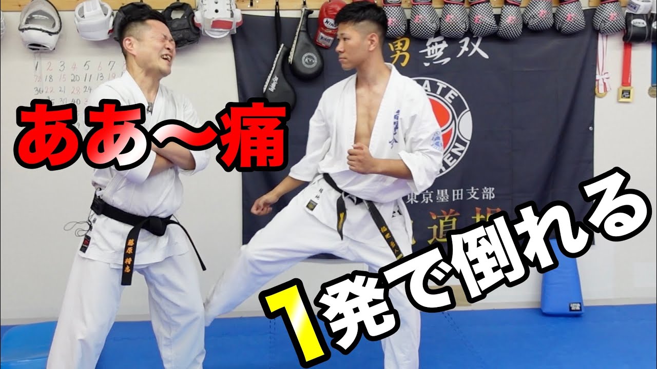【刃牙の技を使える達人】に1発で倒れる殺人キック教わりました