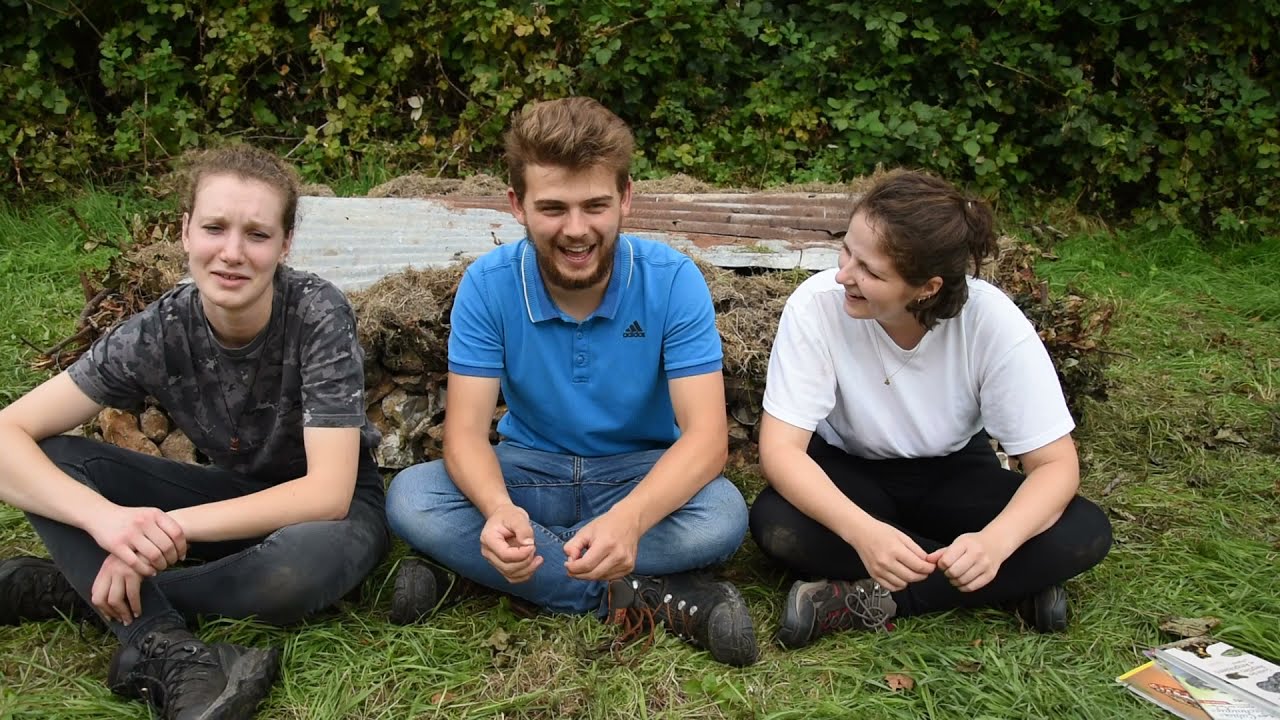 Hibernaculum - Un abris pour les Reptiles et les Amphibiens -
