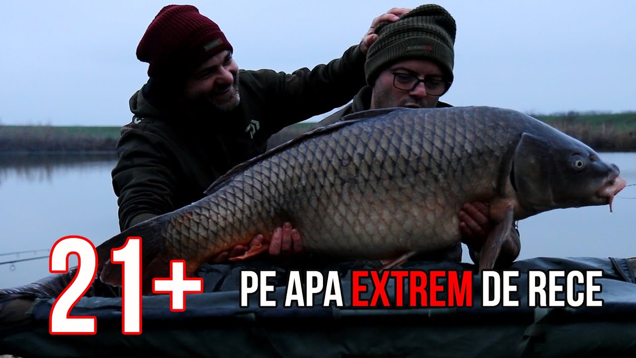 Cum am abordat prima partida de pescuit la crap pe 2023? - Iarna pe malul apei
