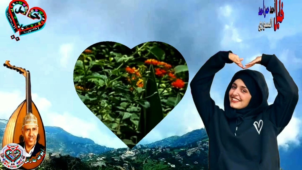 في مزهريات روحي لك زرعت الوفاء | 🤝🌿🌹💖 #ايوب_طارش_عبسي