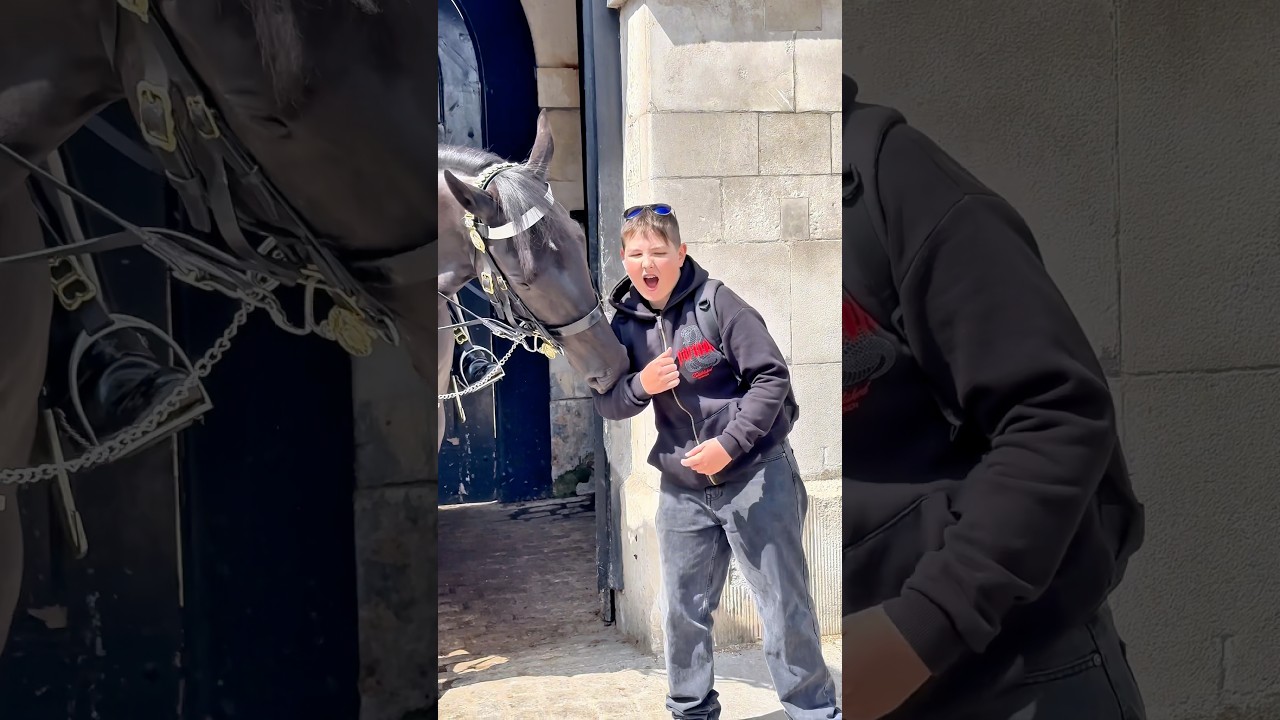 Epic Moments We&rsquo;ll Never Forget &mdash; Horse Guards at Their Best!