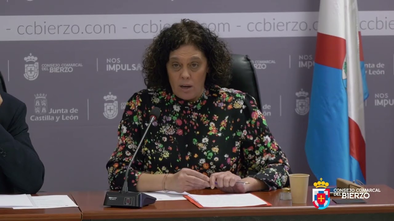 Pleno 27/01/2026