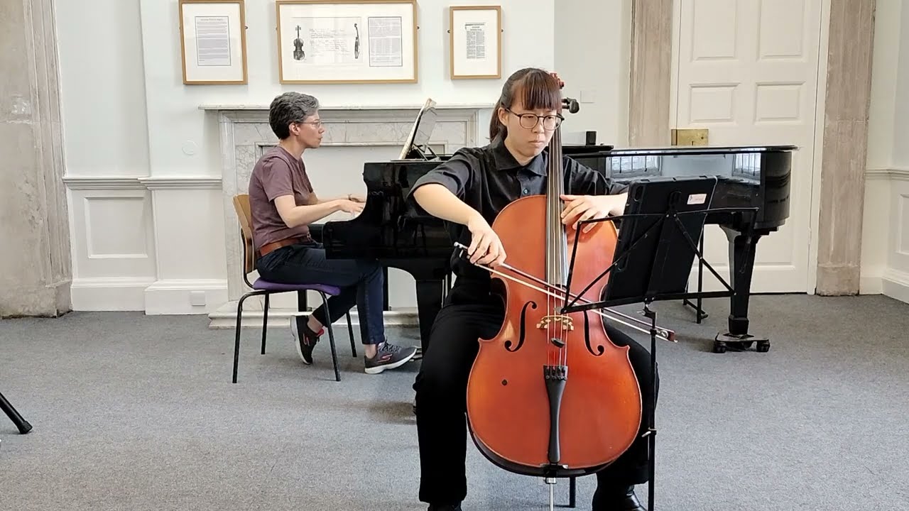 Dvorak - Cello Concerto in B minor Op. 104, 1st movement