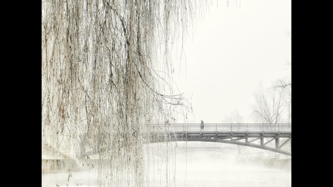 Bridges Within