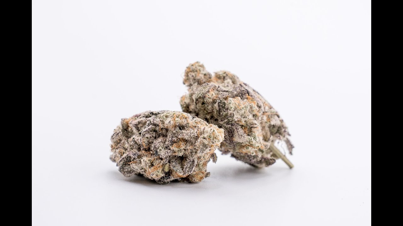 Mac 1 Strain Review Featuring Buddy Buddy Indoor Natural