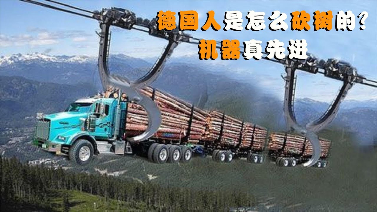 德国人是怎么砍树的？一台机器开过去，寸木不生