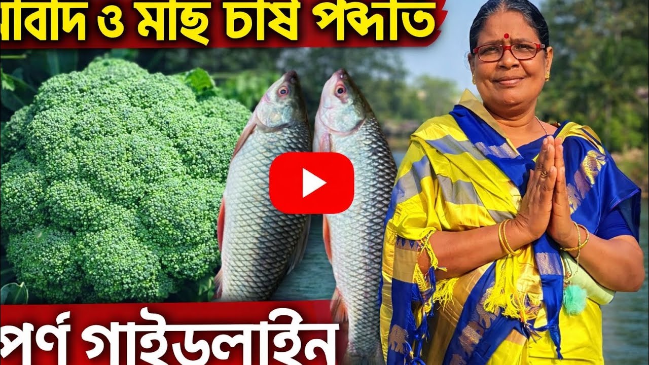 “গ্রামবাংলার ঐতিহ্যবাহী রুই মাছ ও বকুলি রান্না”5️⃣ “রুই মাছ ও বকুলি – ঝটপট ঘরোয়া রেসিপি 🐟🌿”