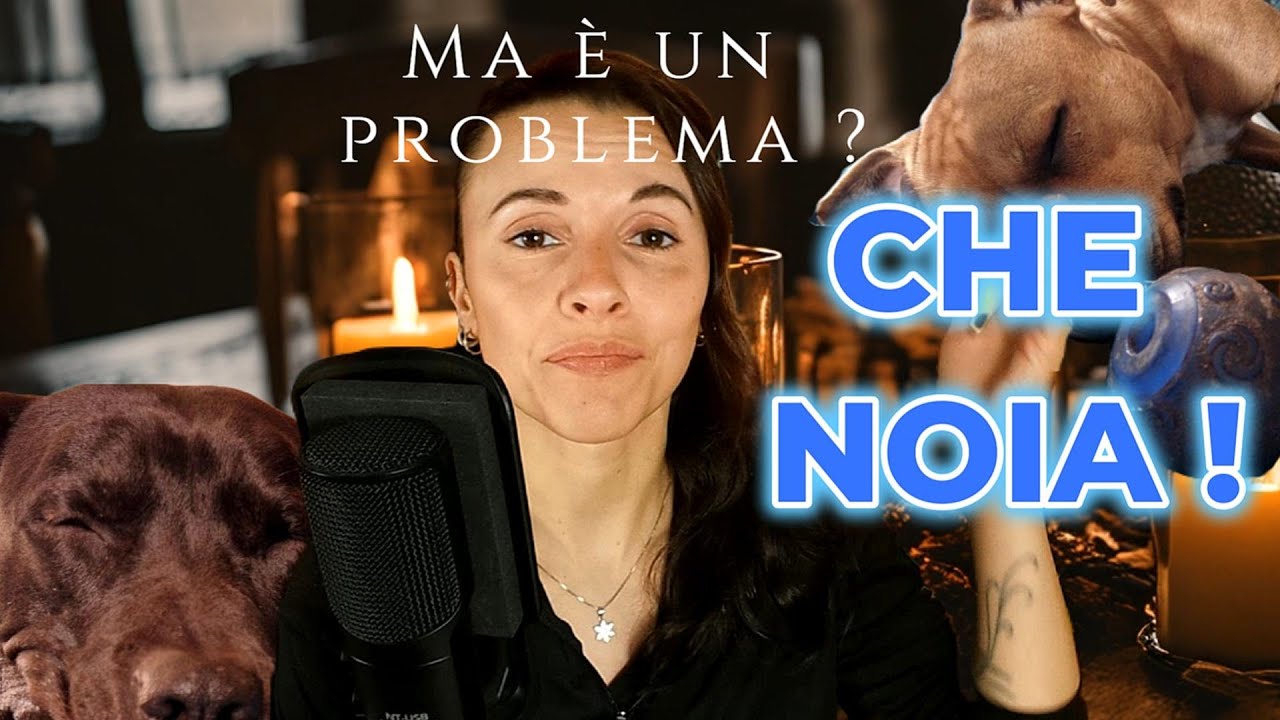 Il tuo cane si annoia? Ecco cosa fare!