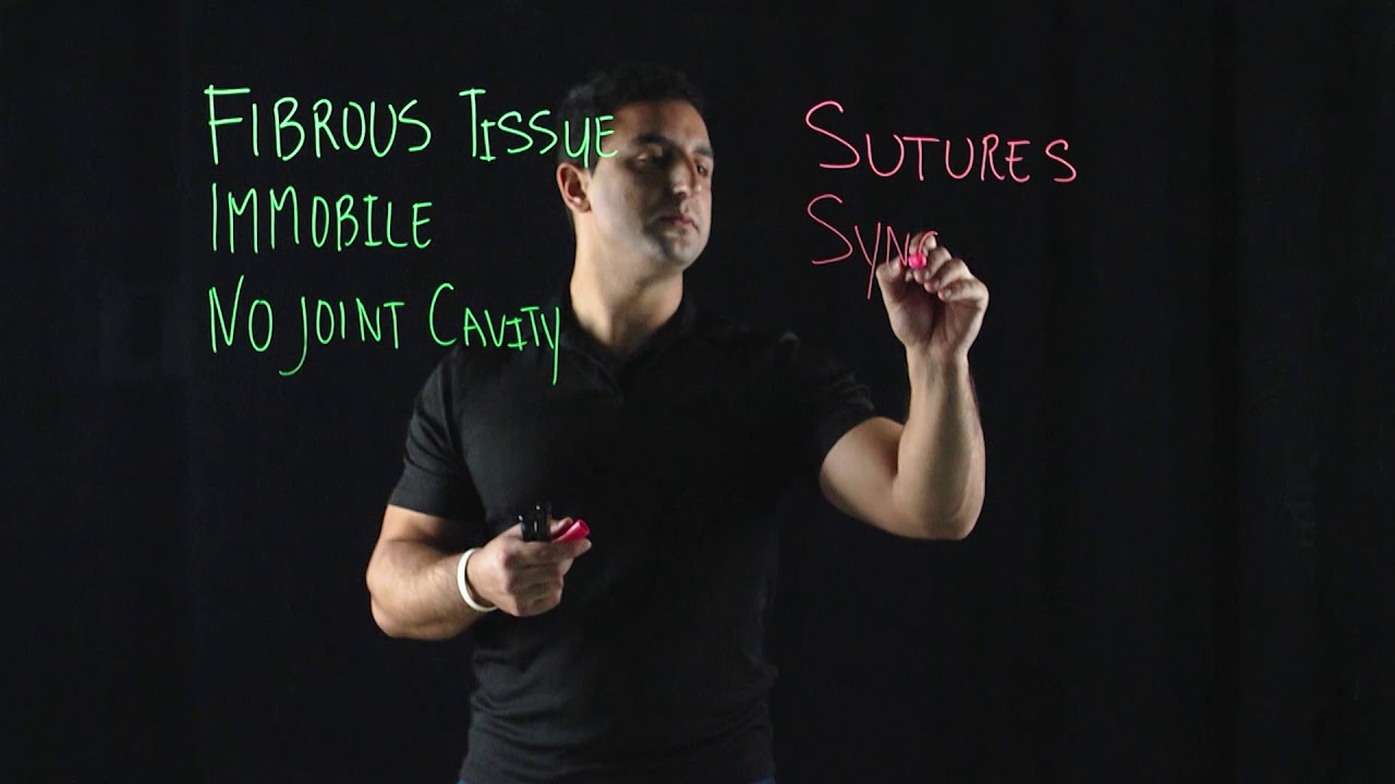Fibrous Joints