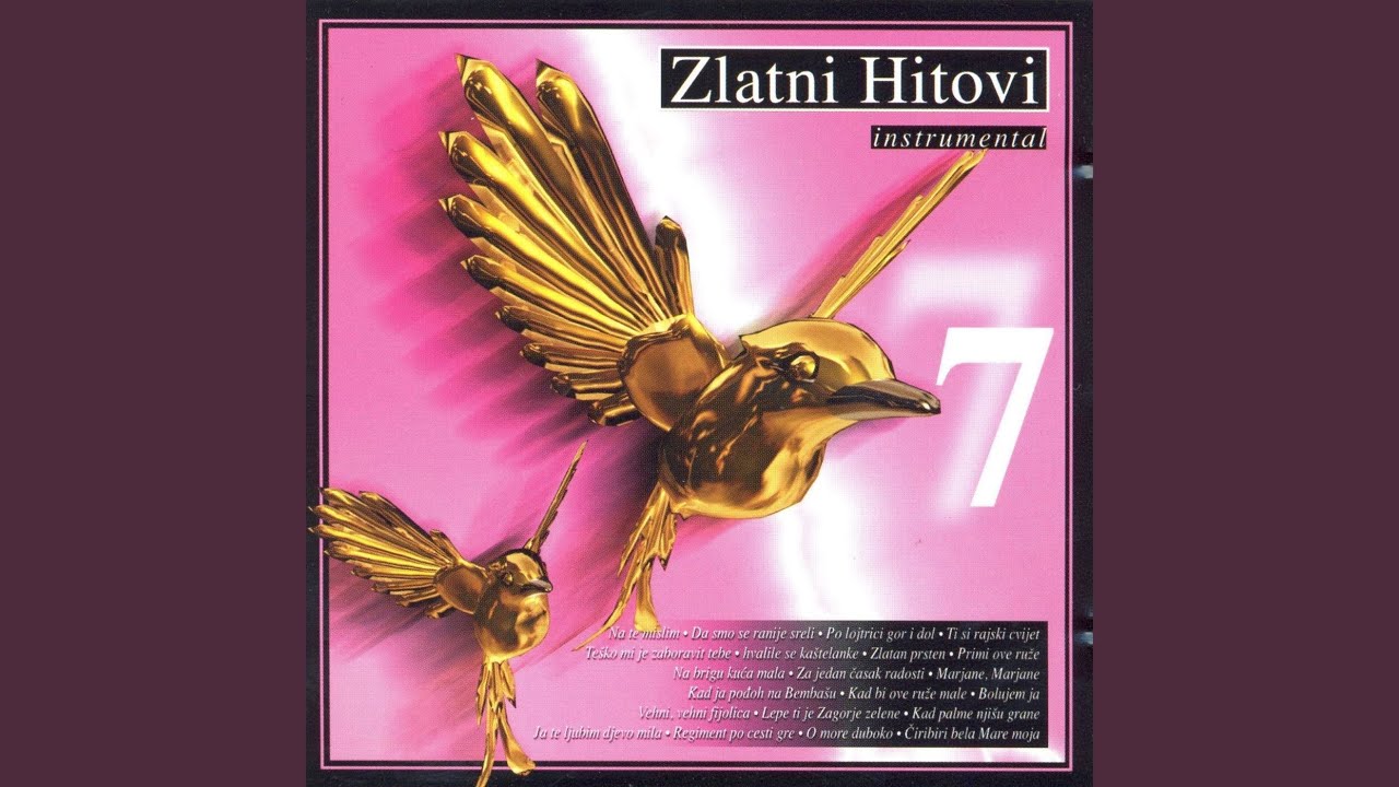 Regiment po cesti gre (Instrumental)