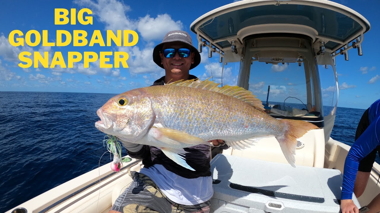 1770 Bunker Group Fishing - Great Barrier Reef SURPRISE CATCH