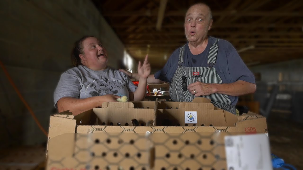 Unboxing Cackle Hatchery SURPRISE! What will these baby chicks be?! I’m EXCITED & TERRIFIED 🐣😁😳