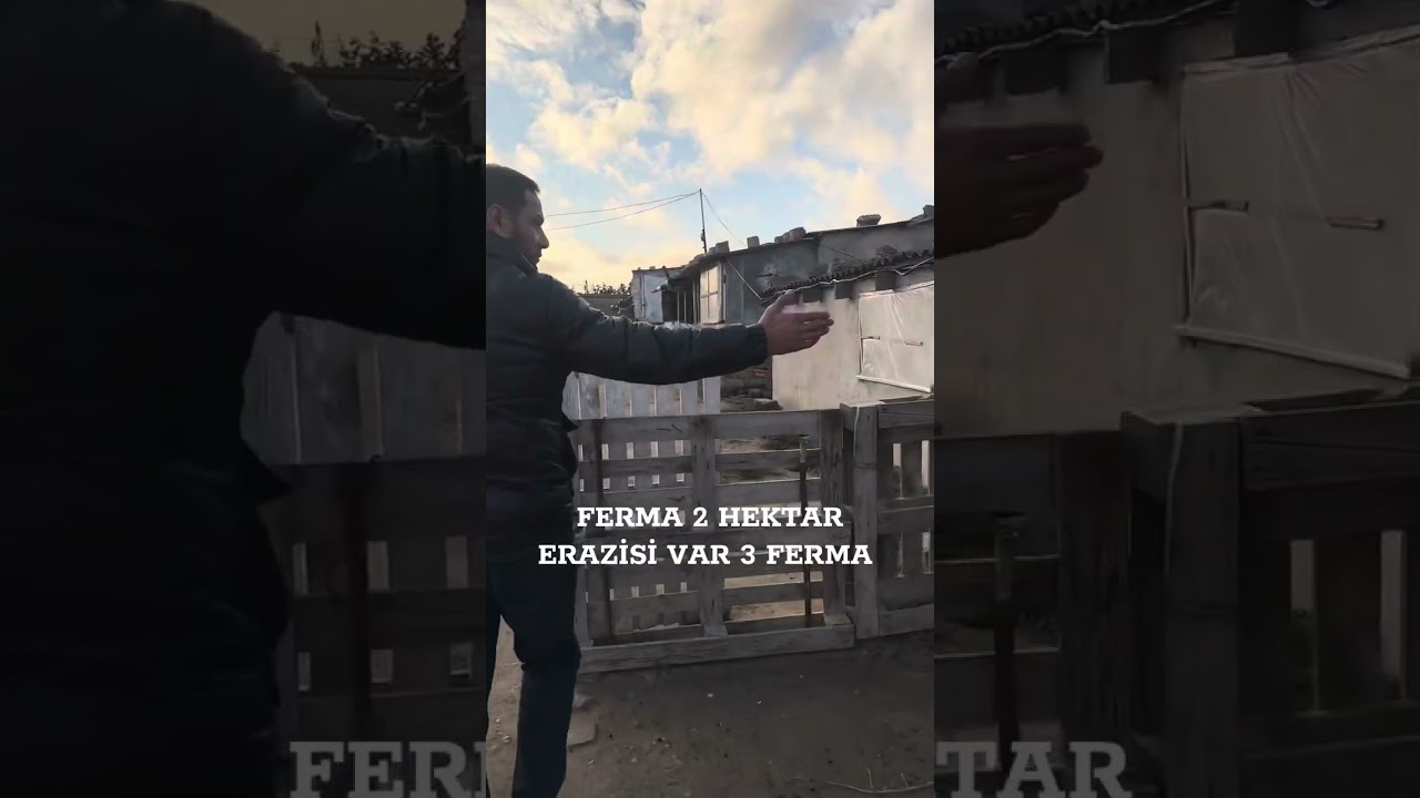 FERMA SATILIR 2 HEKTAR TORPAĞ 3 FERMA SENETLER TAM QAYDASINDADIR ☎️051.421.71.71
