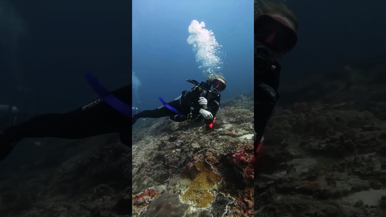 HAVE YOU EVER BEEN DRIFT DIVING?  #bali #scubaaddict #divinglife #adventuresport #scubadiving