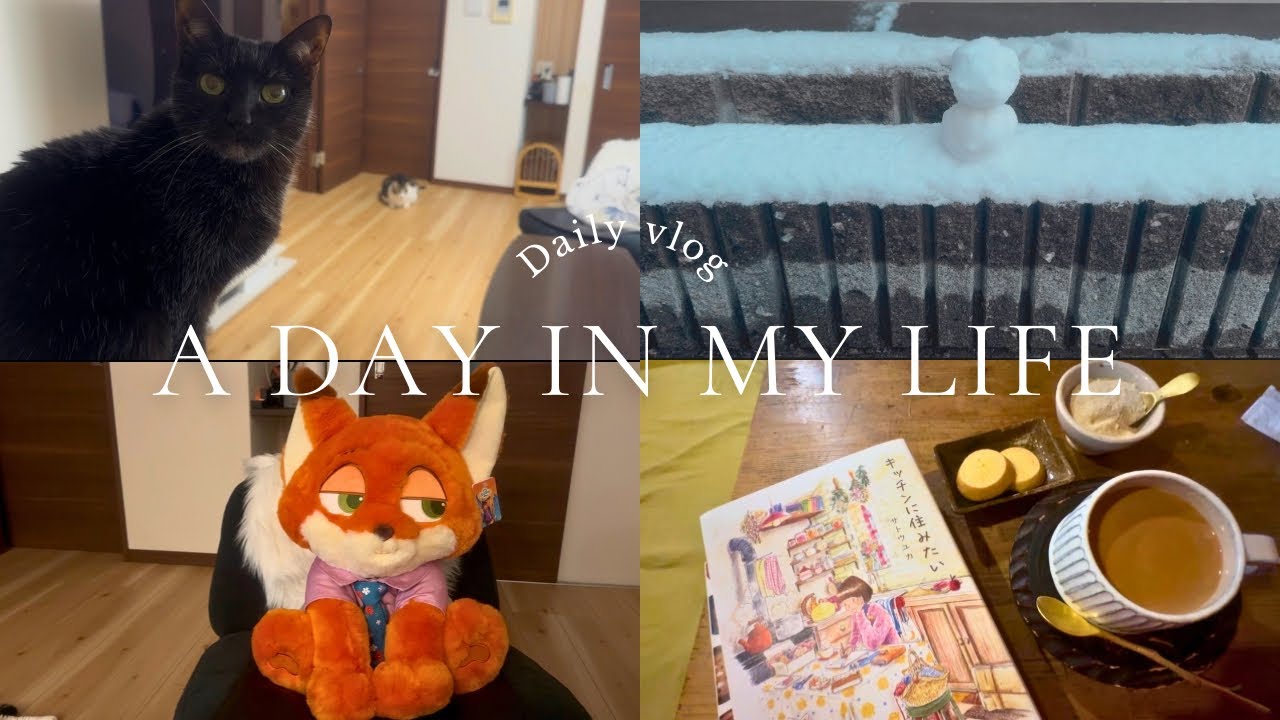 【40代主婦vlog】大雪とかもう最悪|かわいい古民家カフェ|おなかの調子と向き合う日々|Jリーグ100年構想開幕