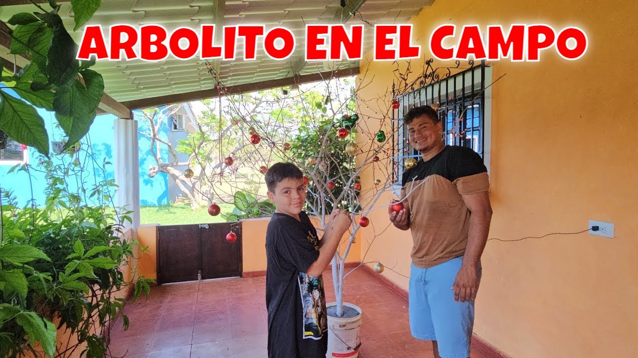 Mi Arbolito Navideño en la Casa de Campo
