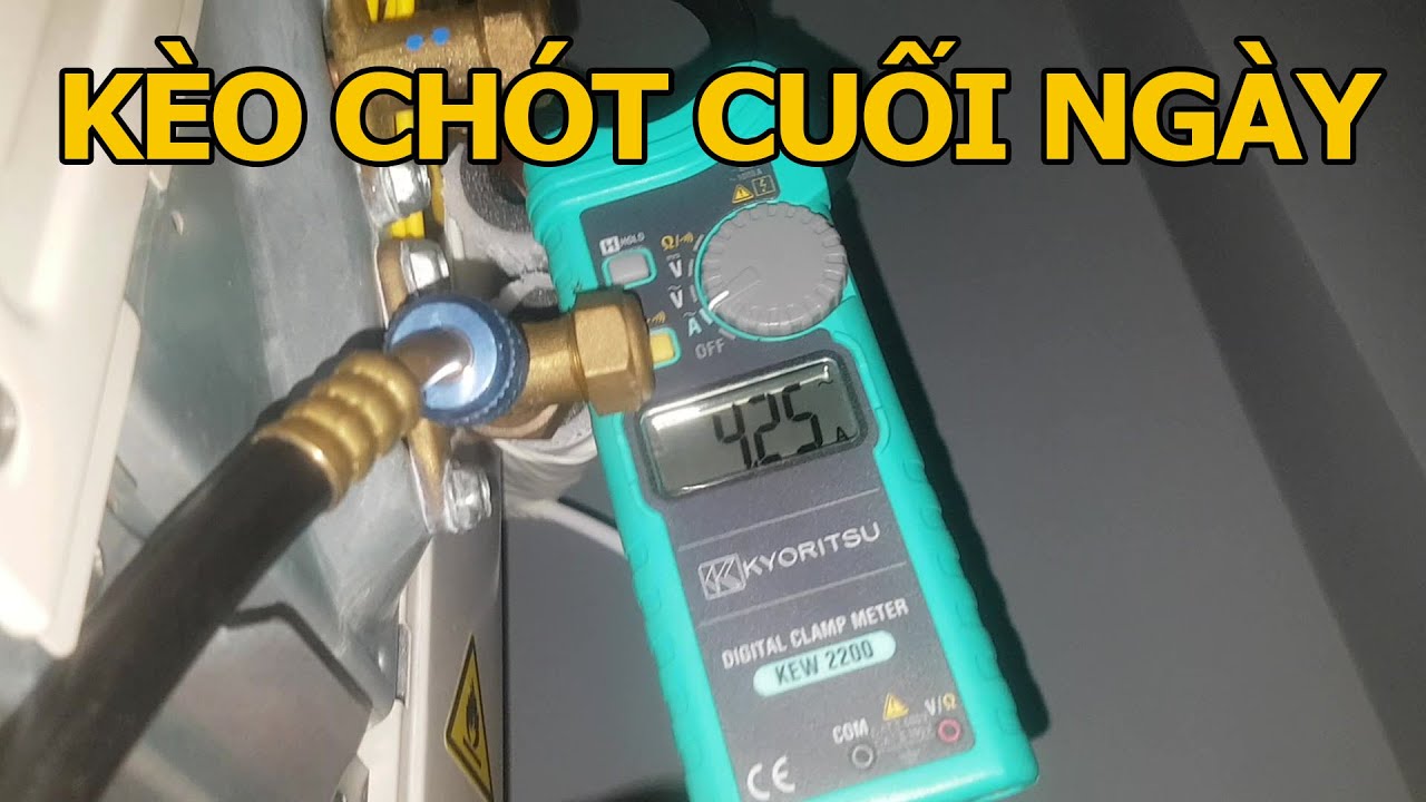 Ngày Chủ Nhật Phê Lòi !!!