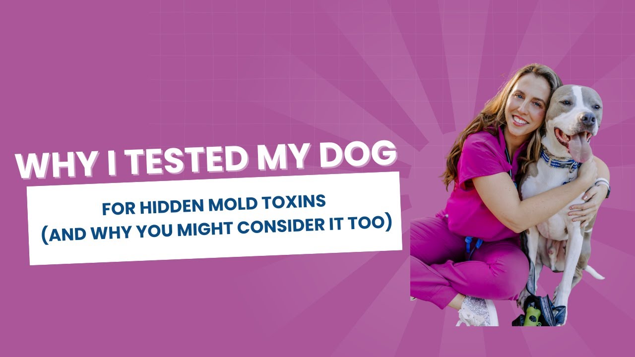 Why I Tested My Dog For Hidden Mold Toxins.