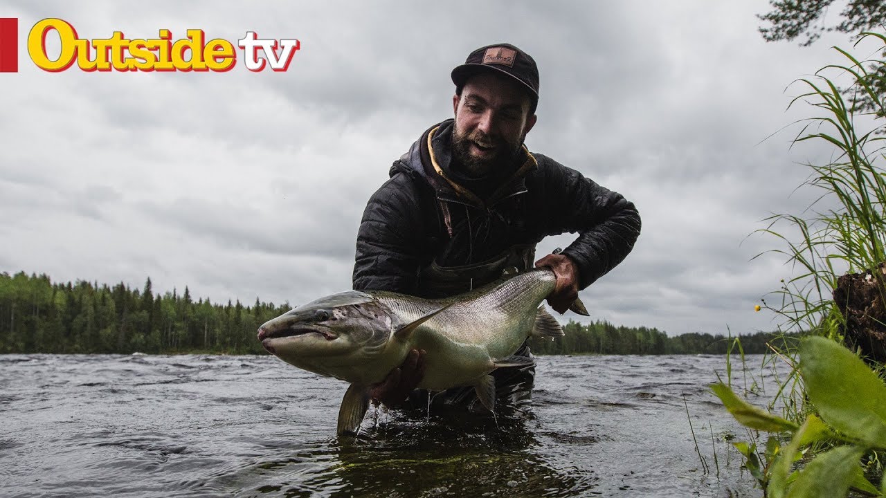 A Quest for Baltic Salmon | Laplanders
