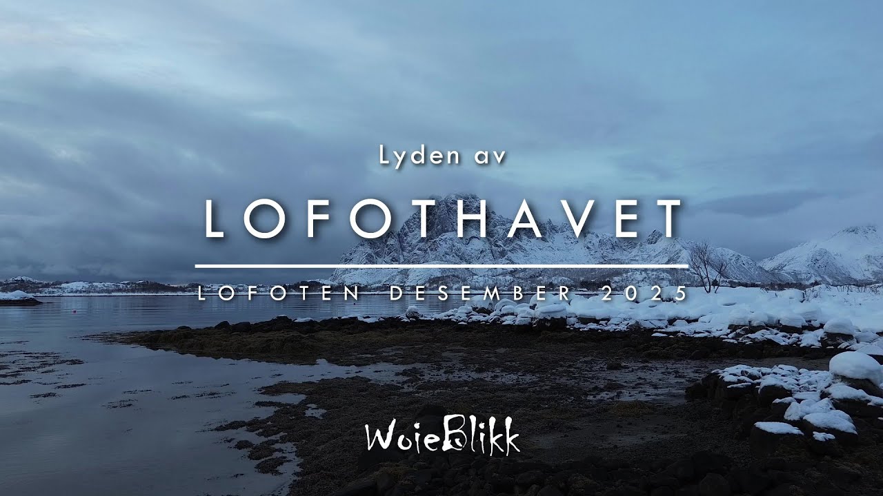 Lyden av Lofothavet / The sound of the Lofoten sea