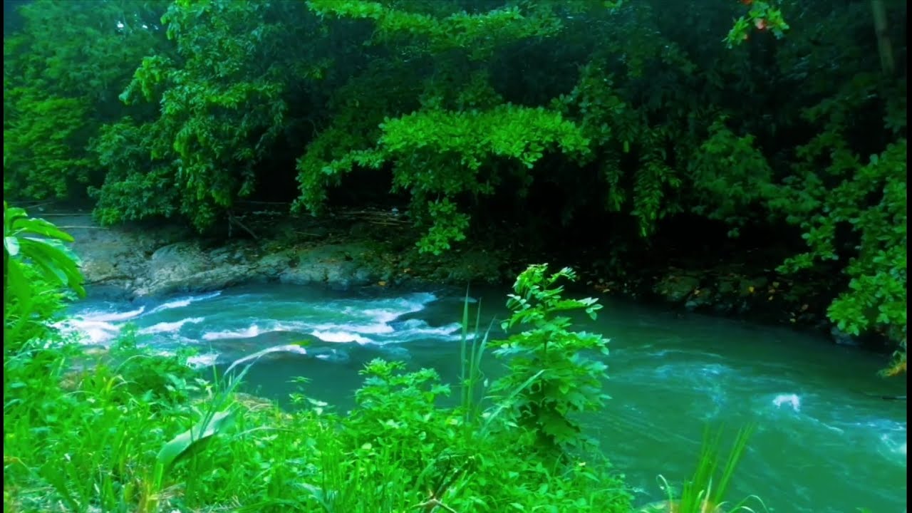 Deep Relaxation with Peaceful River Sounds  Calming Water Flow.