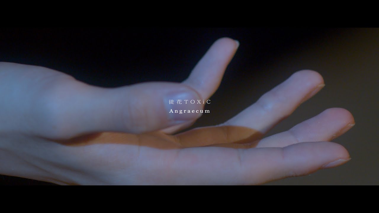 Angraecum / 徒花TOXiC【Music Video】