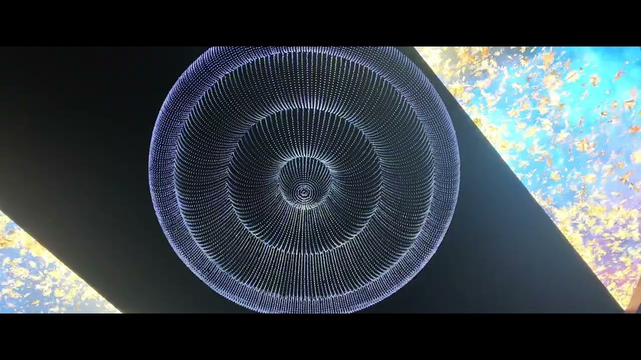 澳门永利发财树