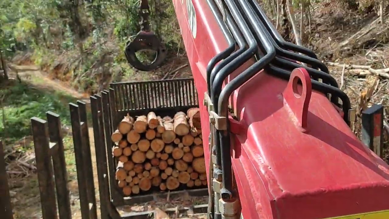 comandos grua hfort 8800.