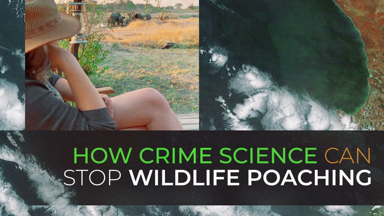 How Science Can Help Stop Wildlife Crime