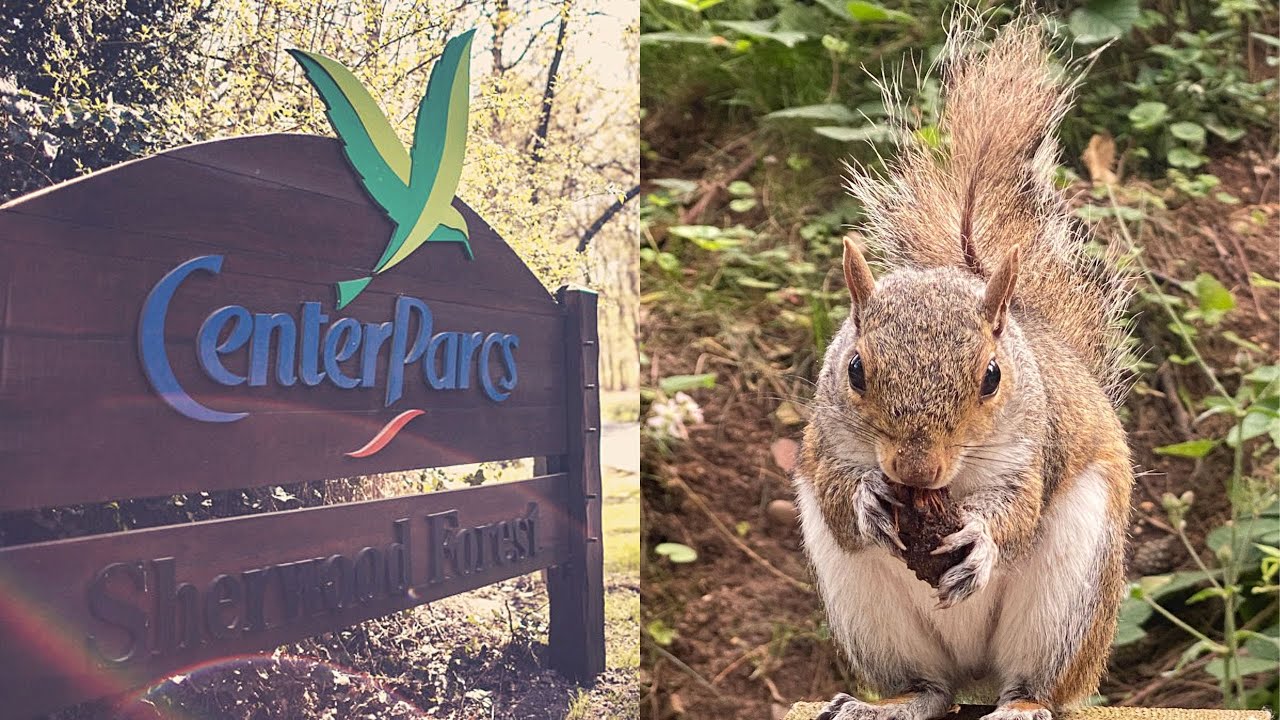 Centre Parcs | Summer 2023 | 12th Birthday weekend | Sherwood Forest