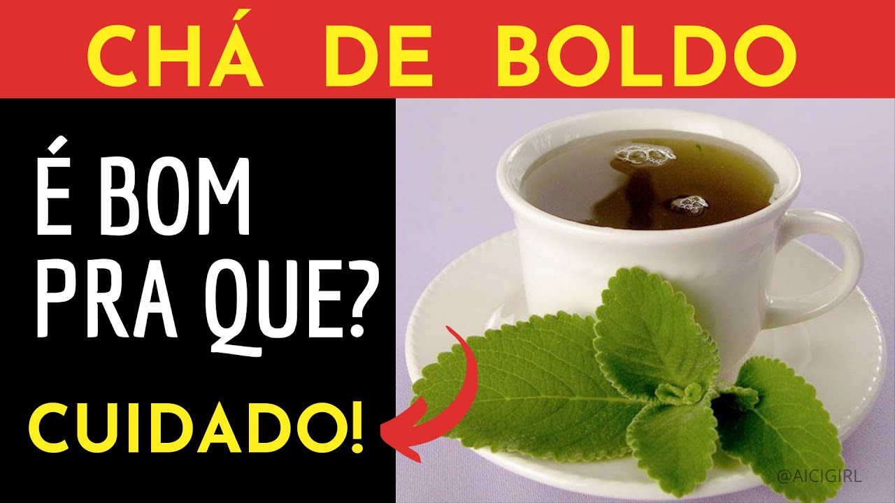 Cuidado Com o Ch&aacute; de Boldo - Benef&iacute;cios, Como Fazer e Contraindica&ccedil;&otilde;es